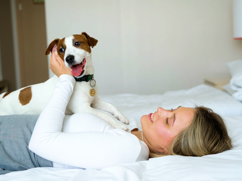Pet Friendly Hotel at at South Burnsville, Minnesota Hotel