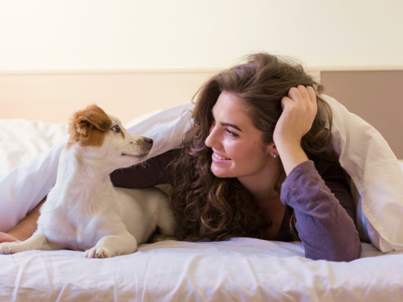 Special Pet Package at LivINN Hotel Minneapolis South/Burnsville