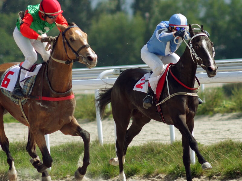 Canterbury Horse Park