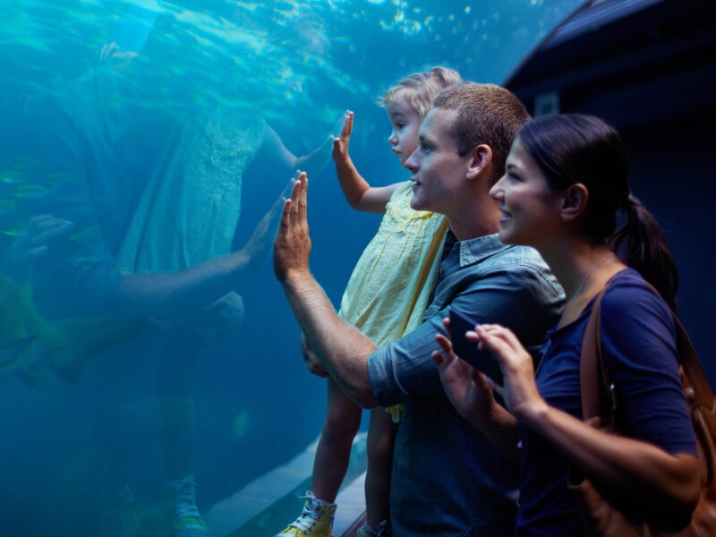 Sea Life Minnesota Aquarium